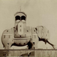 Very few people can boast of having sex inside an elephant, but in the 1880s, it was NBD. (Wikipedia/public domain)